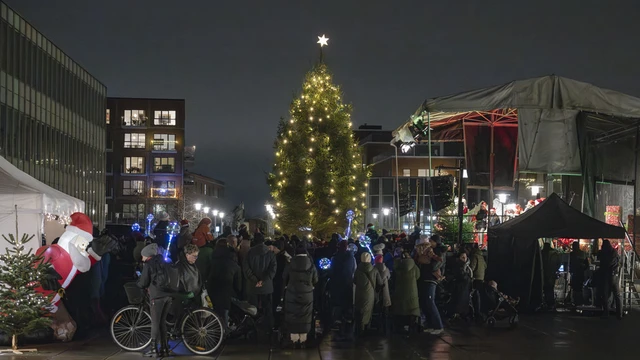 Stort juletræ med lys på rådhuspladsen i Rødovre.
