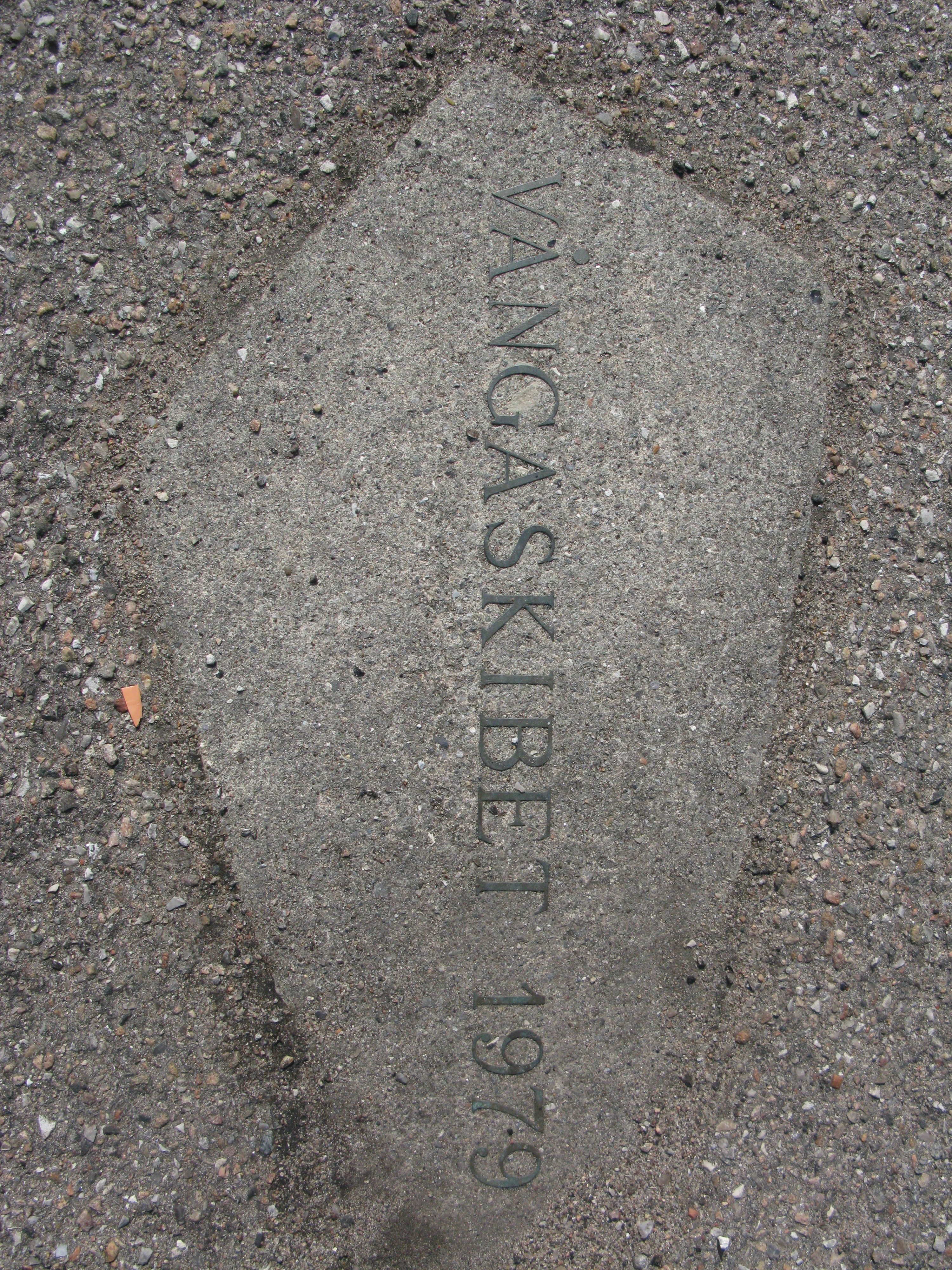 Vångaskibet 7