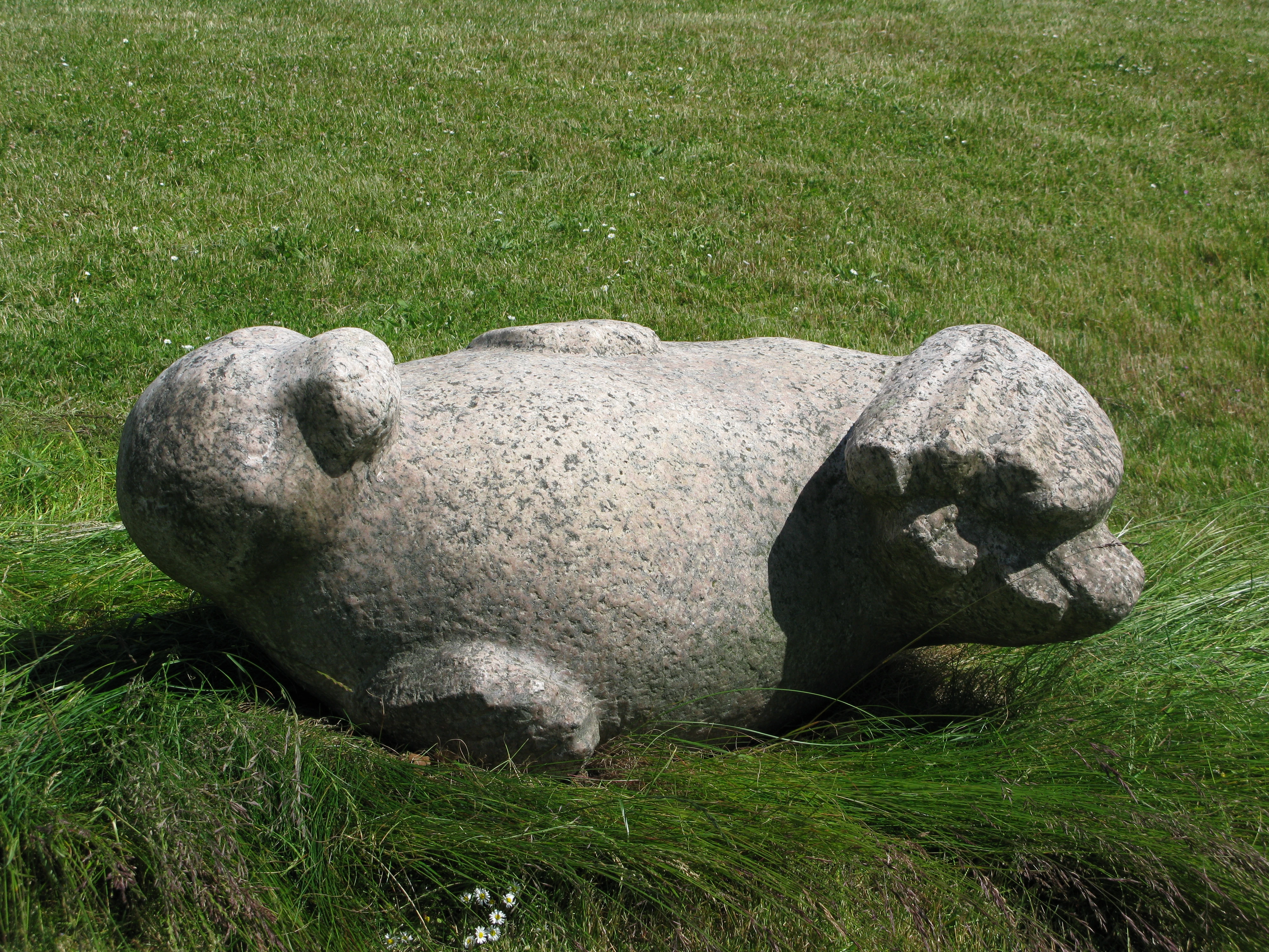 Dyregruppe ved Vestbad 4