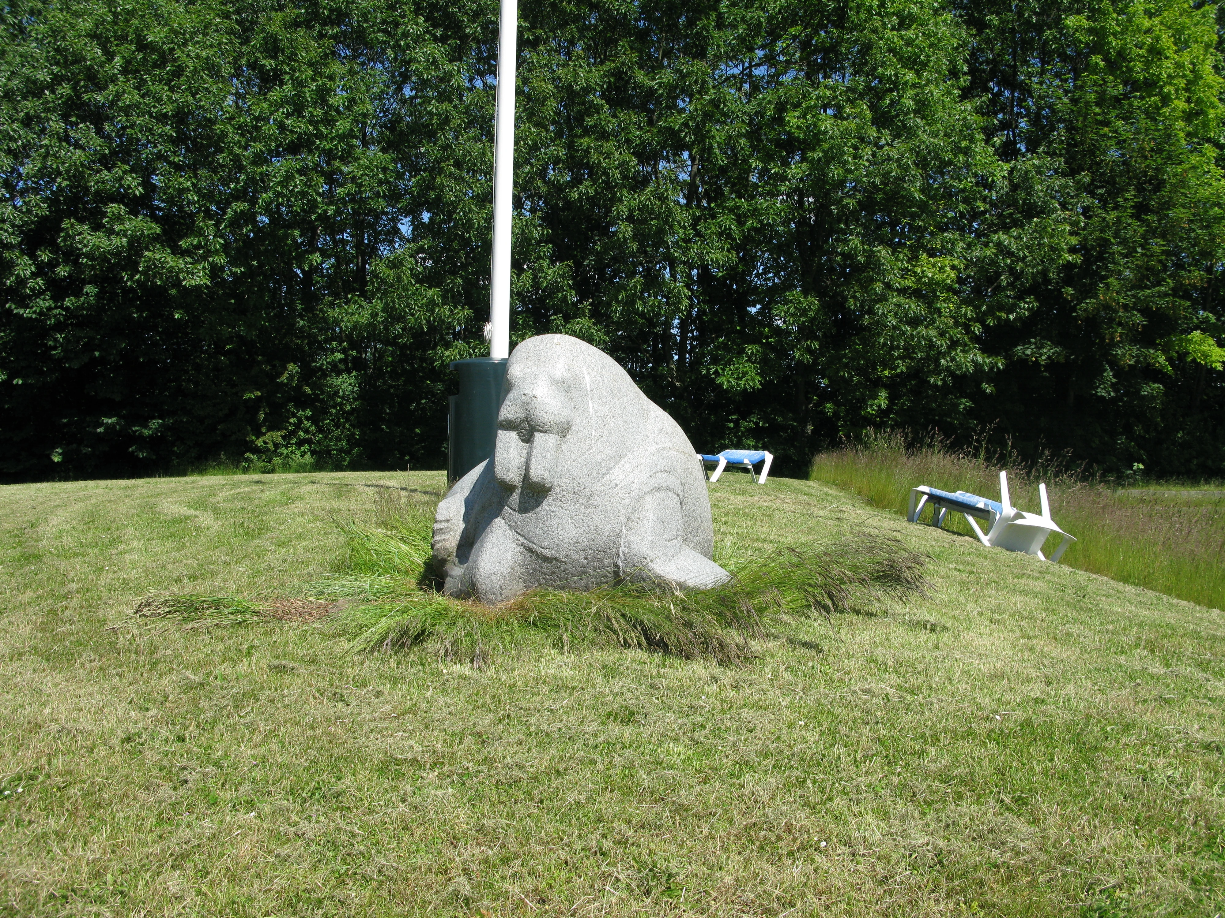 Dyregruppe ved Vestbad 11