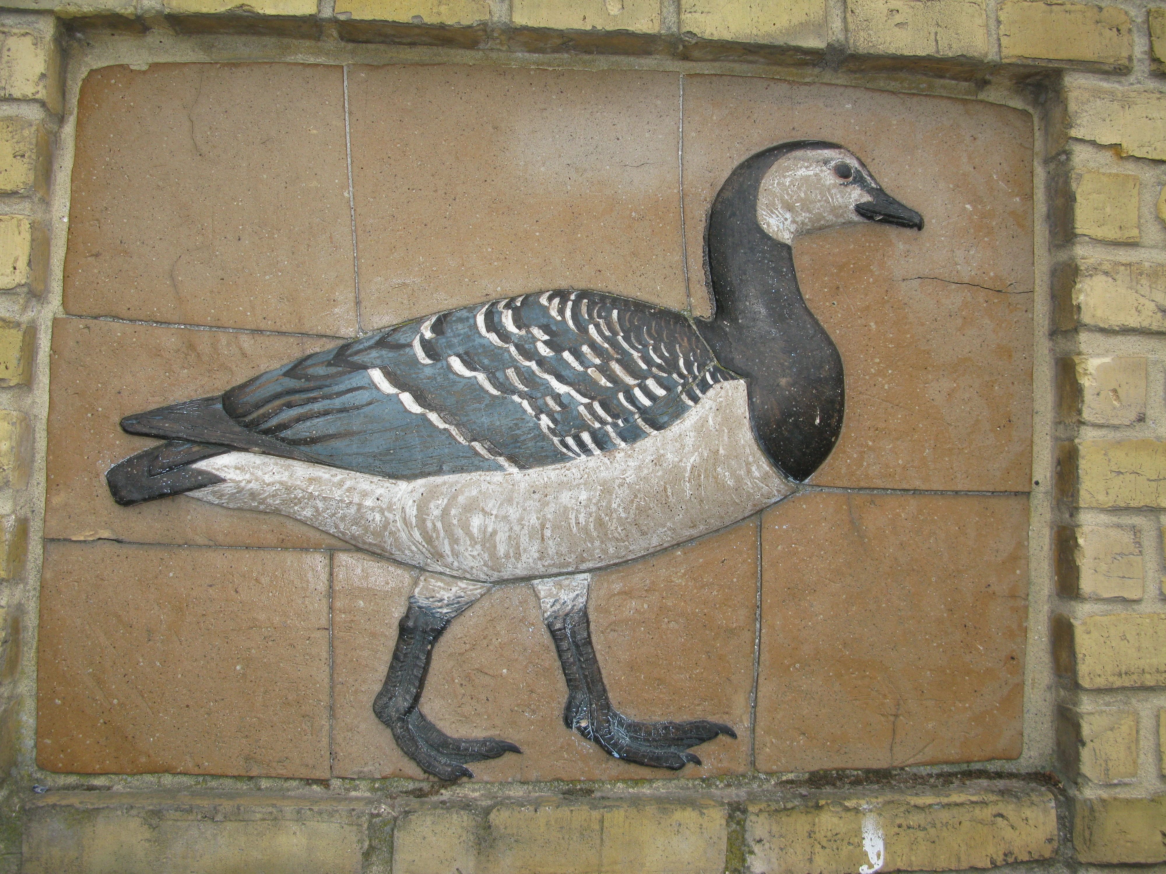 Vildgås 2