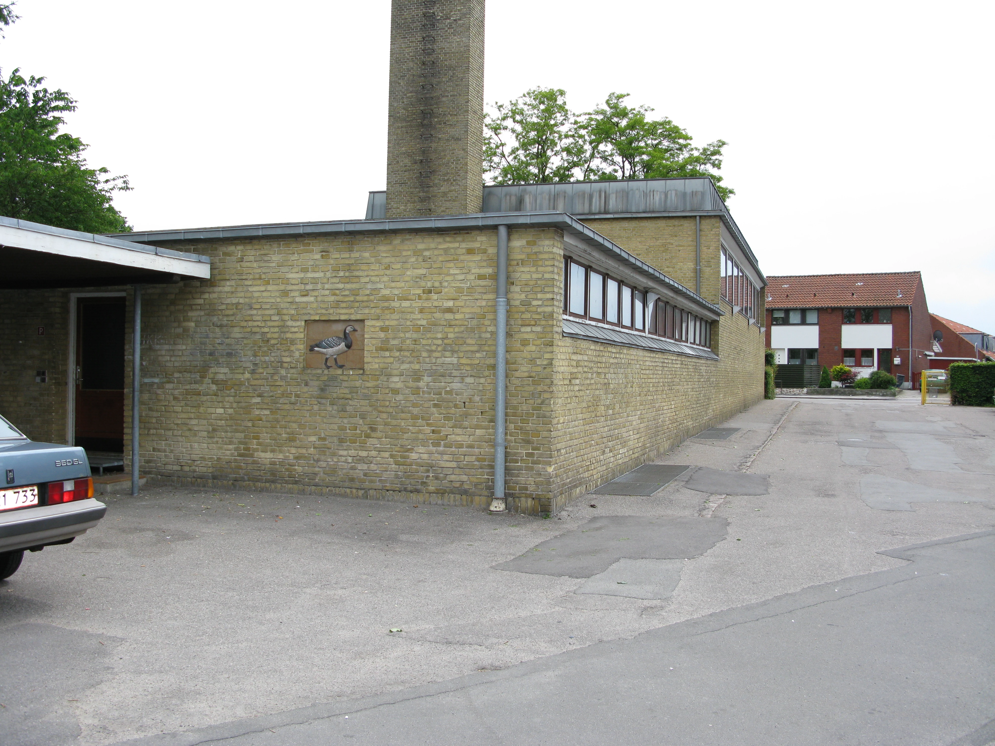 Vildgås 3