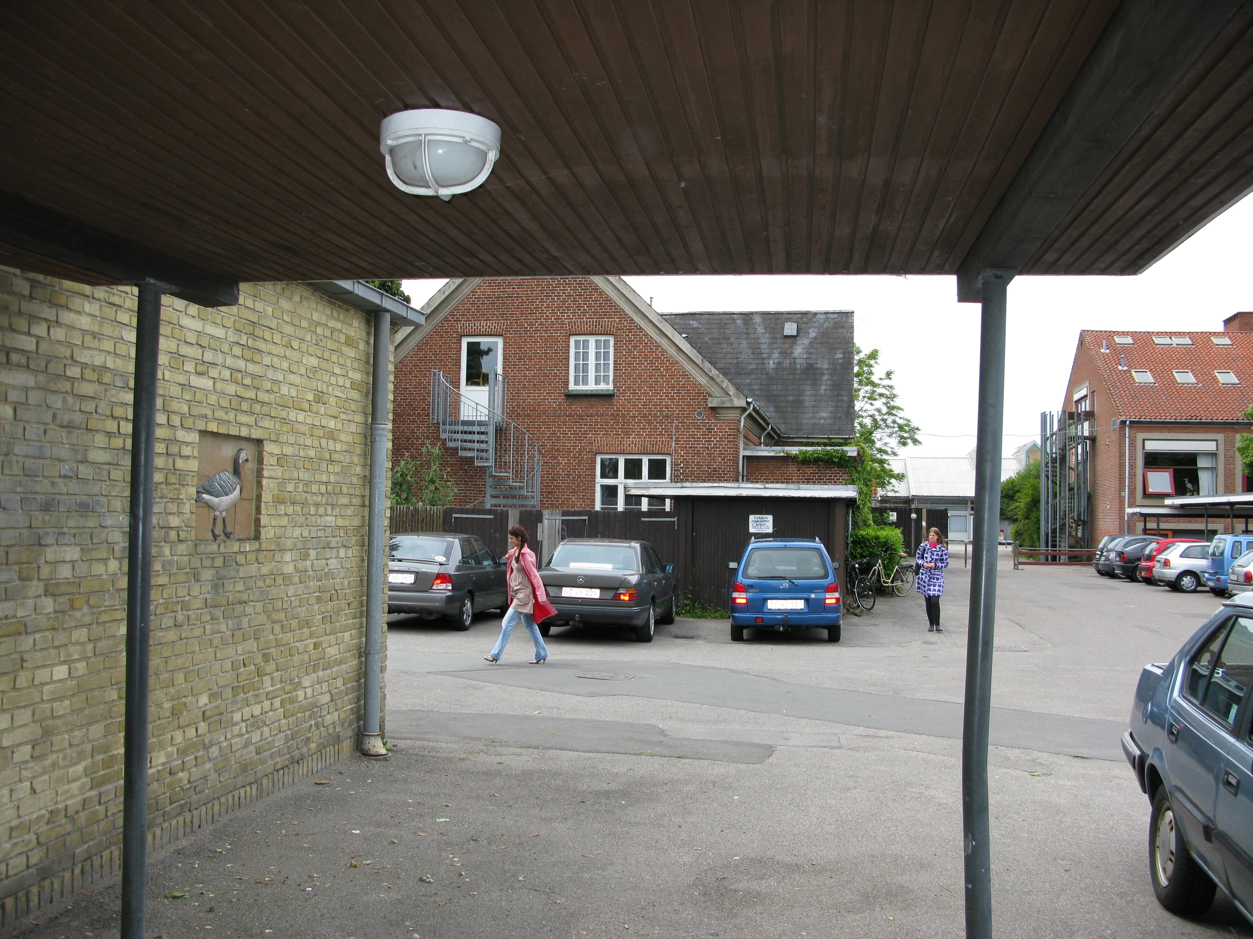 Vildgås 4