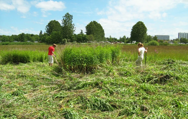 Invasive planter