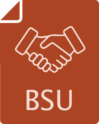 Ikon for BSU